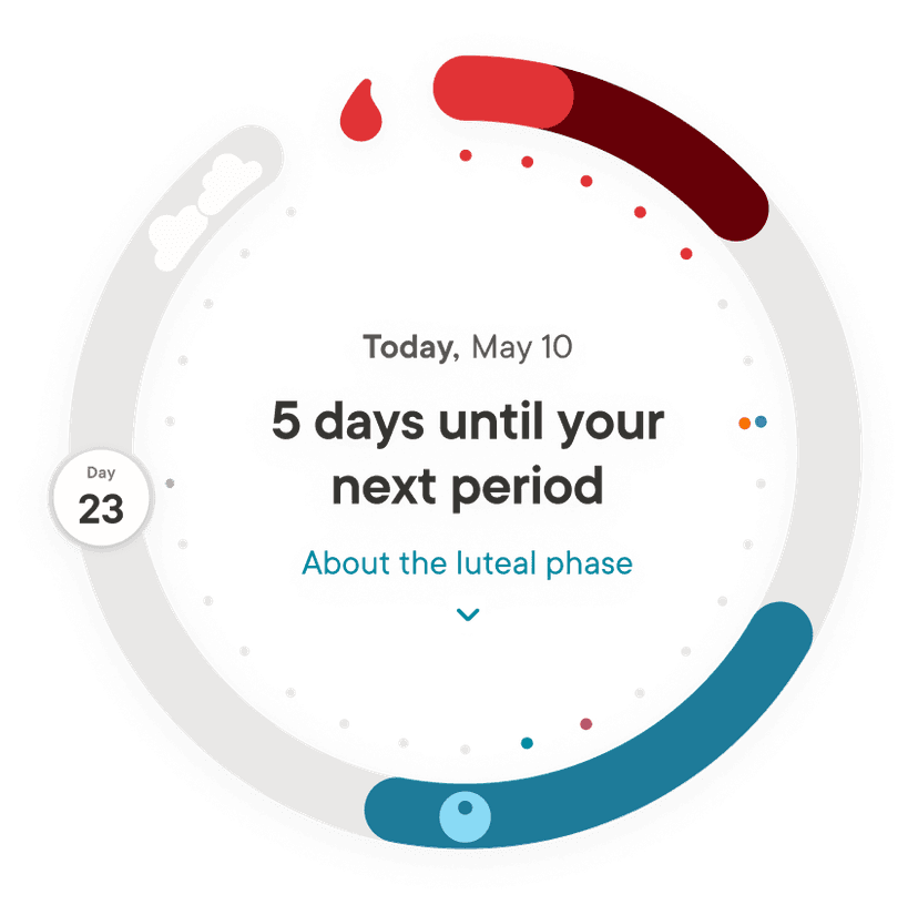 Image ot Clue cycle view